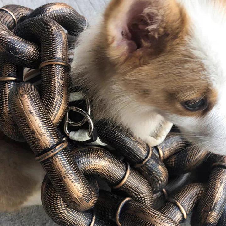 Kult og morsom hundebånd - PawChic Skanto