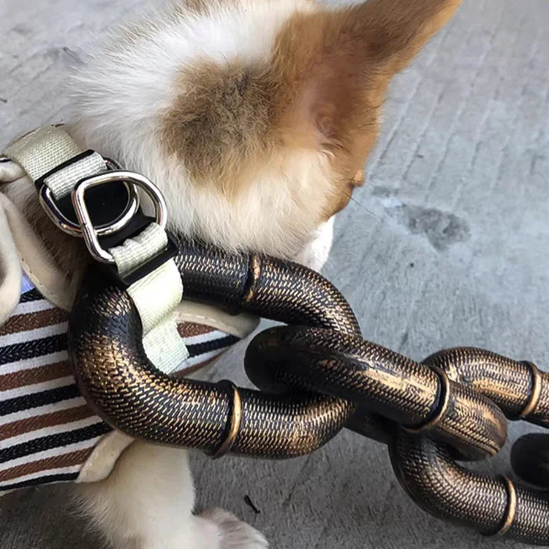 Kult og morsom hundebånd - PawChic Skanto