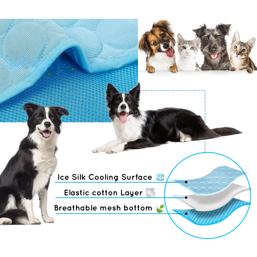 Cooling Dog Mat - CoolPet Mat Skanto