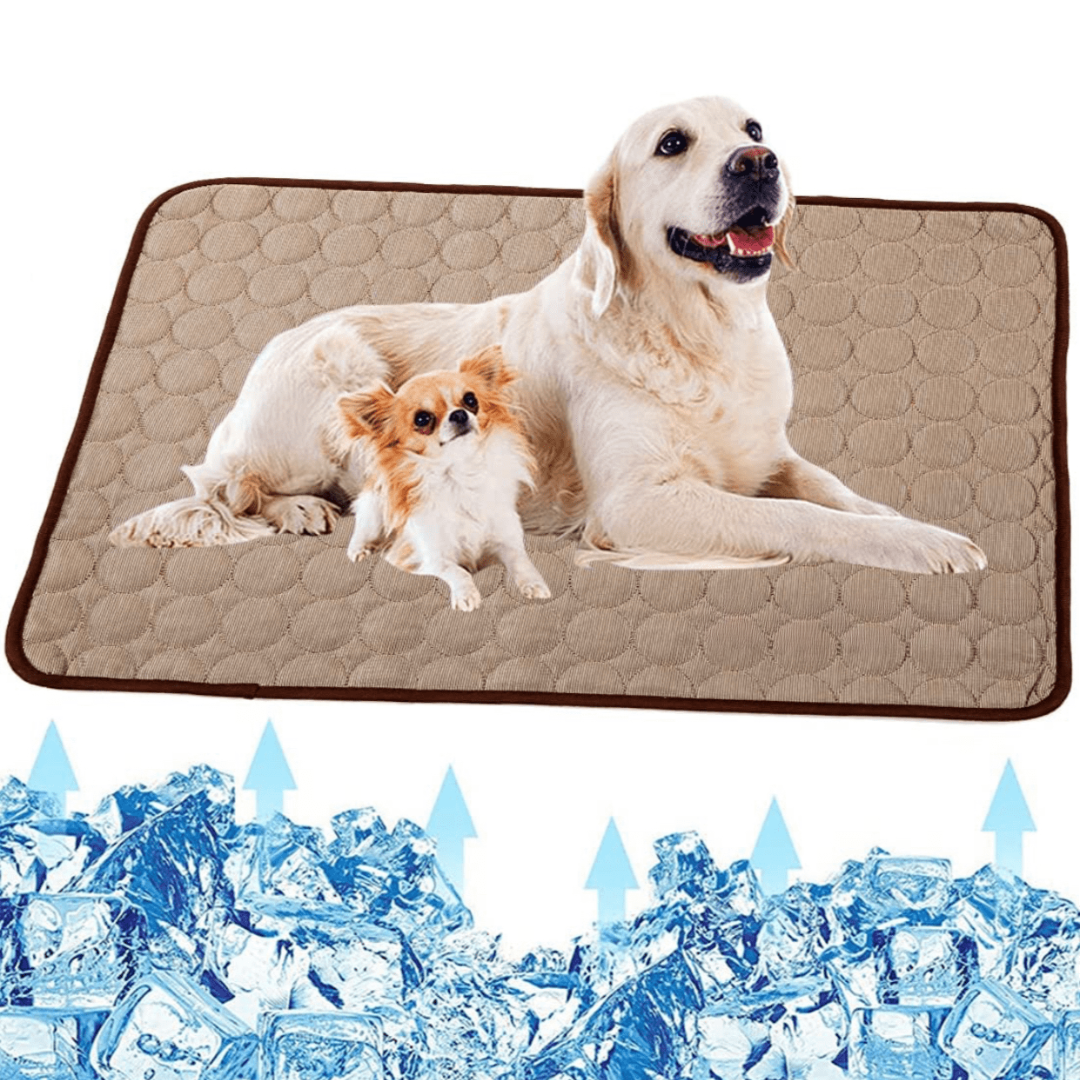 Cooling Dog Mat - CoolPet Mat Skanto
