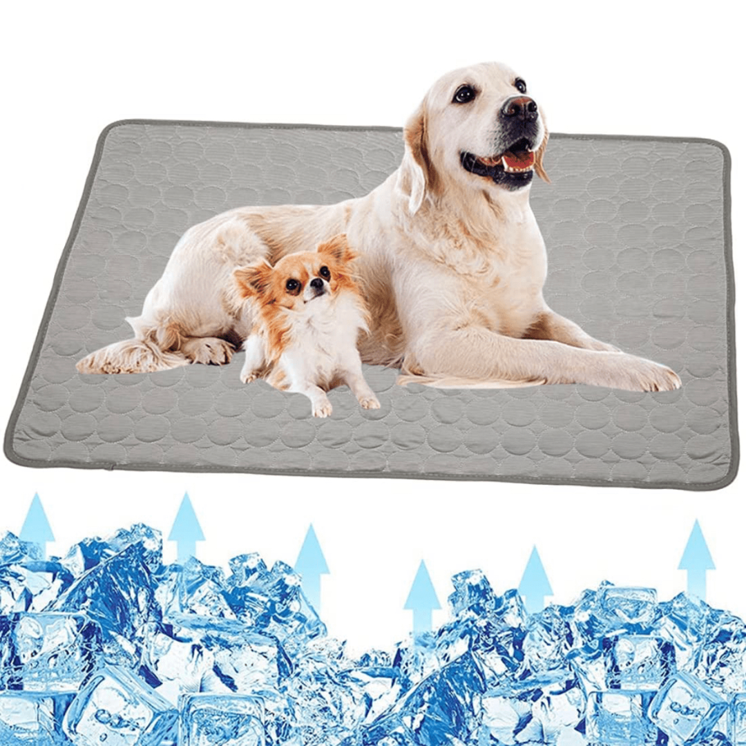 Cooling Dog Mat - CoolPet Mat Skanto