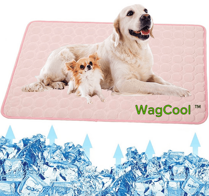 Cooling Dog Mat - CoolPet Mat Skanto