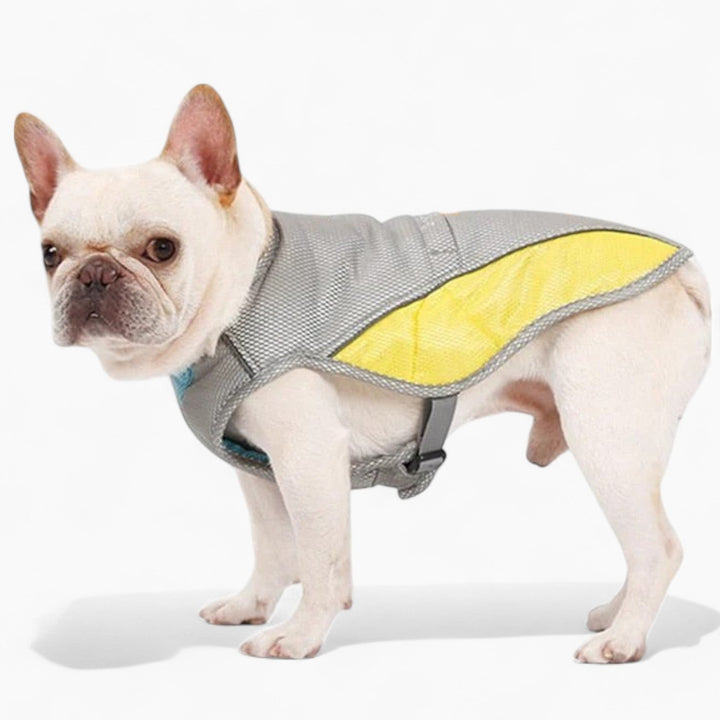 Coolify™ : Kjølevest for Fransk Bulldog (CS13) | Skanto