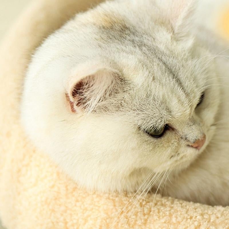 Skanto | COSYCAT Retreat – Stilig Kattebånd med Sisal Kloreoverflate & Puter
