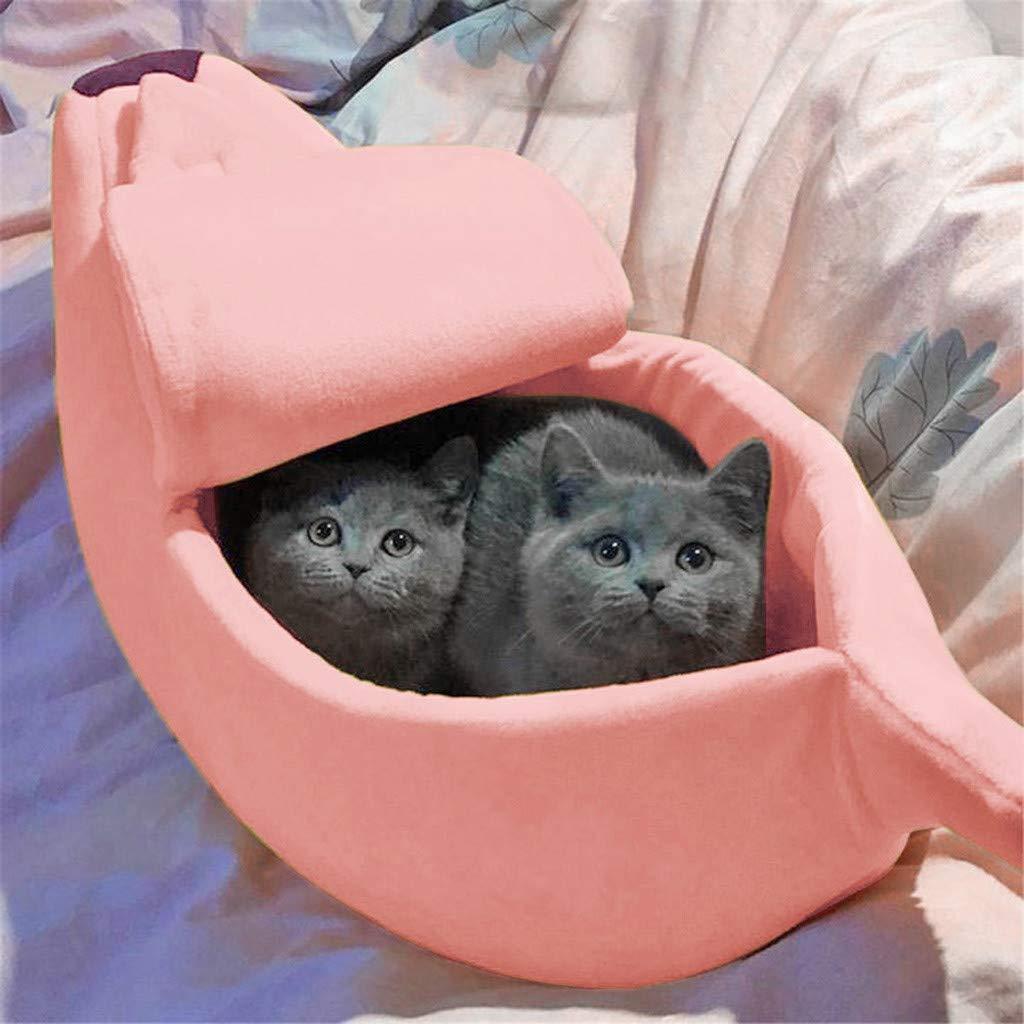 Skanto | Cozy Banana Kjæledyrsleie
