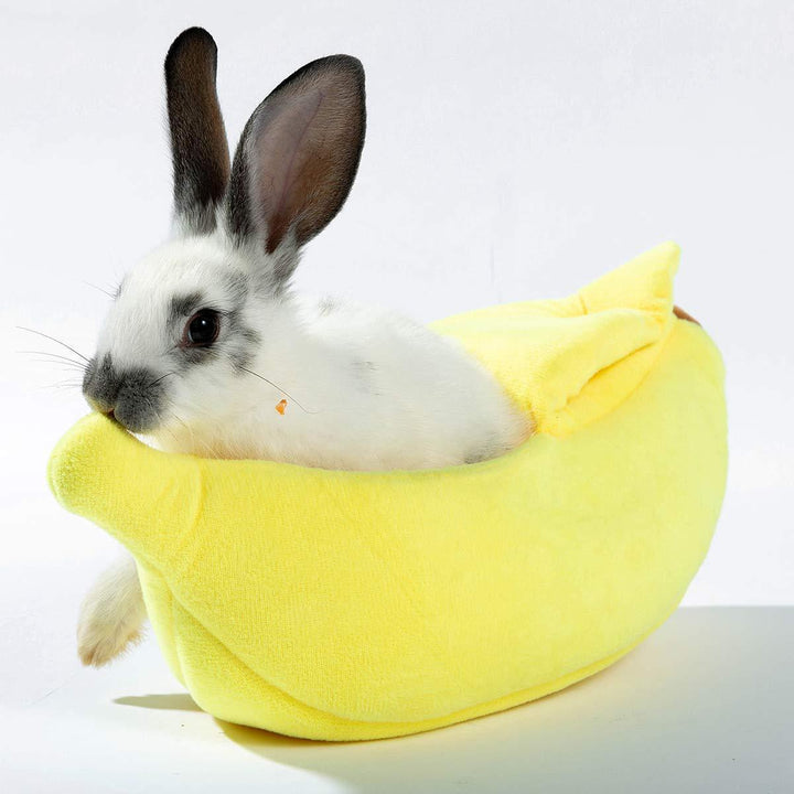 Skanto | Cozy Banana Kjæledyrsleie