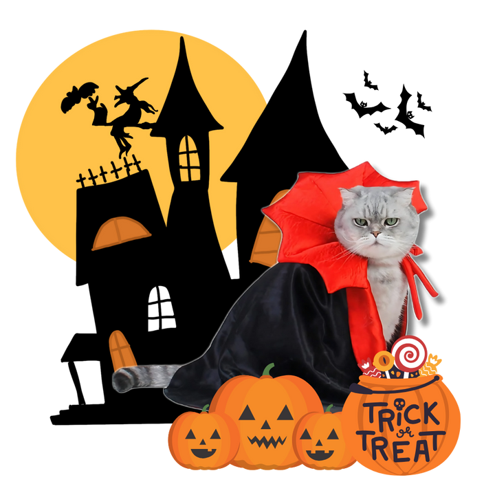 Søtt Dracula Halloween-Kostyme For Kjæledyr