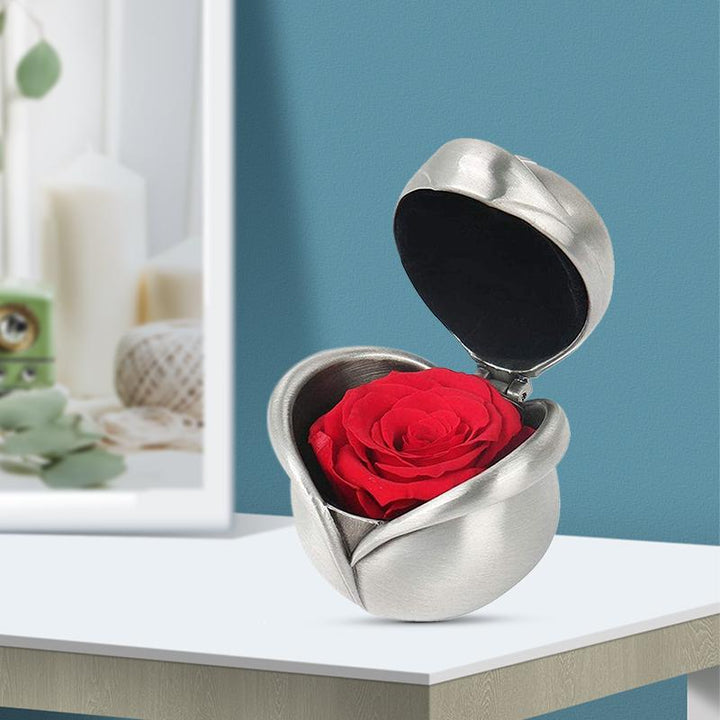 Skanto | Bevarte Blomst Rose
