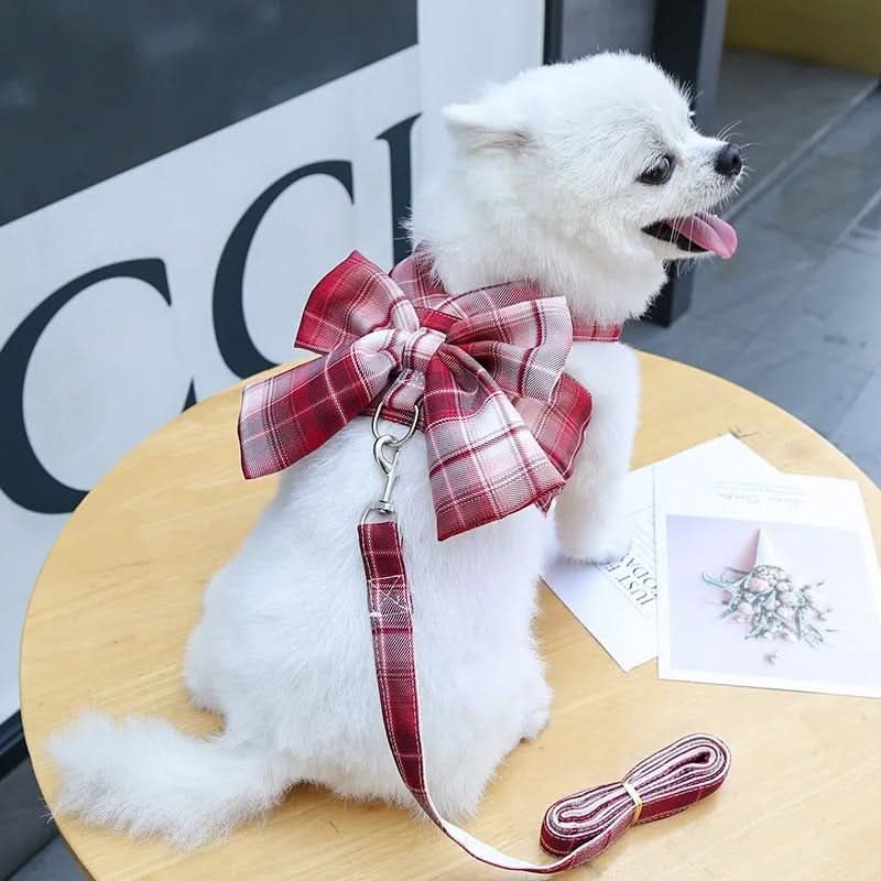 Skanto | Justerbart hundesele med elegant sløyfe for stilige turer