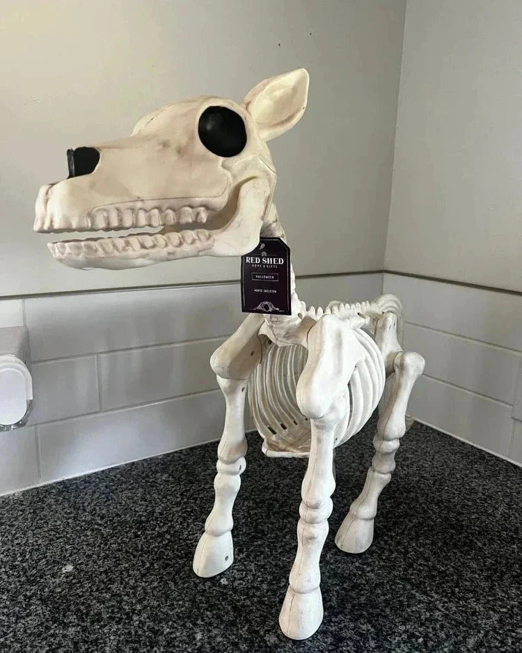 Skanto | Halloween Skeletthest & Hestedekorasjon