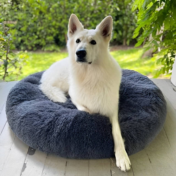 Skanto | Beroligende Hundeseng