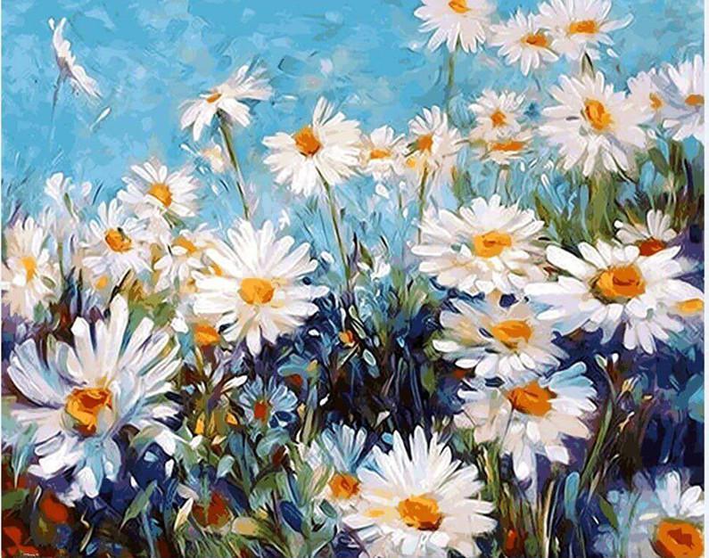 Field of Daisies - Van-Go Mal-For-Nummer Kit | Skanto