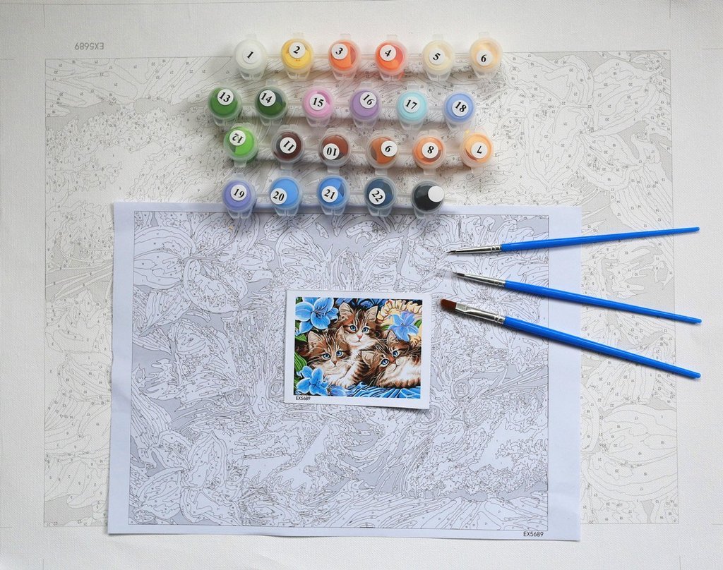 Field of Daisies - Van-Go Mal-For-Nummer Kit | Skanto