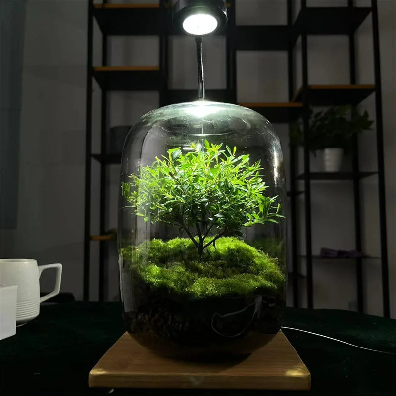 Micro Landscape Green Oasis Glass Vase | Skanto