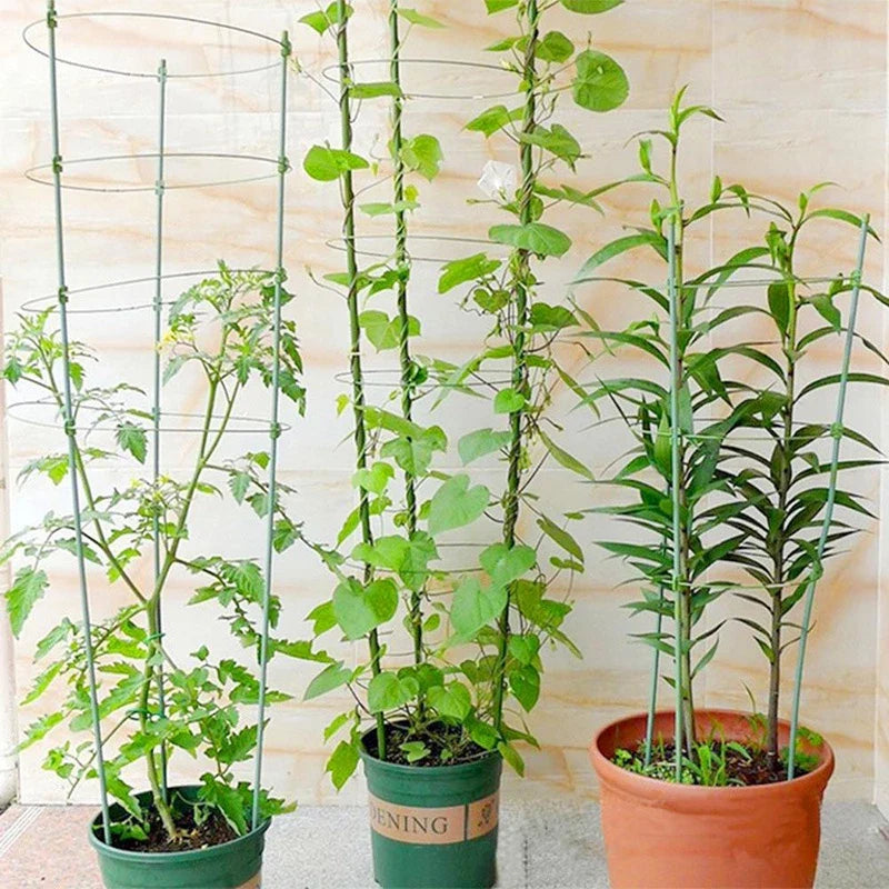 Skanto | Klatre ramme for planter – Solid støtte ring ramme for klatrende planter