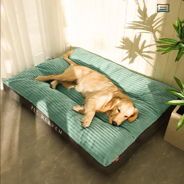 Skanto | DreamRest Orthopedisk Hundeseng – Fluffy, Støttende & Vaskbar Komfort