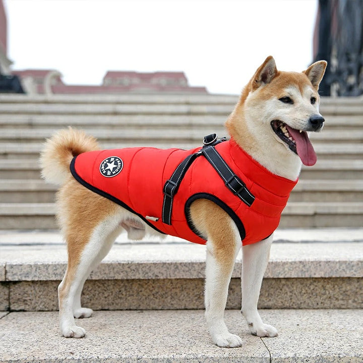 All-Wheather Hund Jakke Skanto