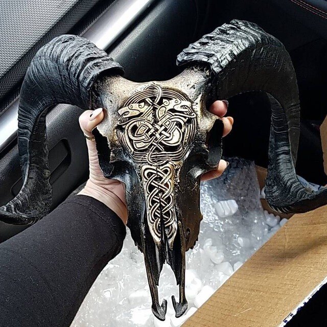 Skanto | Uskåret værhode