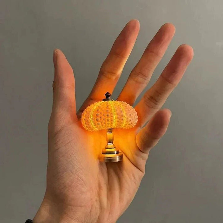 DIY Sølampotar - LumiUrchin | Skanto