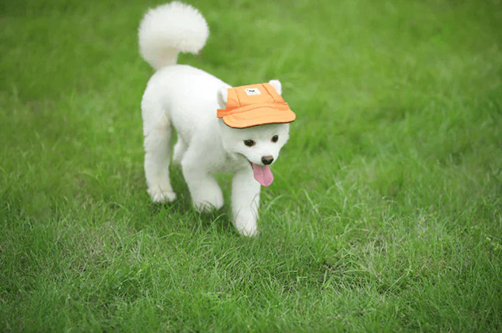 PawShade Pet Cap – Rund Skjermstil Skanto