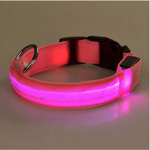 Hundehalsbånd med LED-lys | Skanto