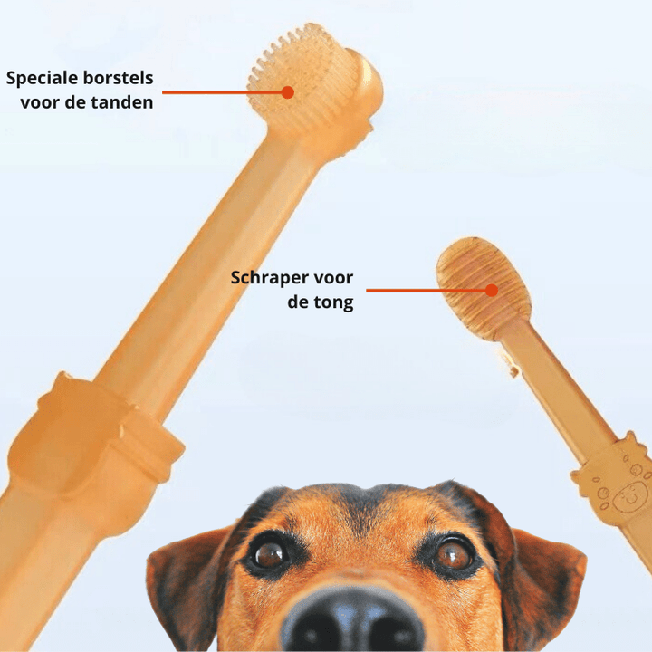 Skanto | DOGGYDENT – Myk Silikon Finger Tannbørste for Hunder & Katter