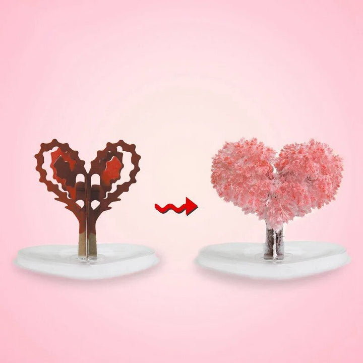 Skanto | Få hagen din til å blomstre - Dyrk ditt sakura-tre!