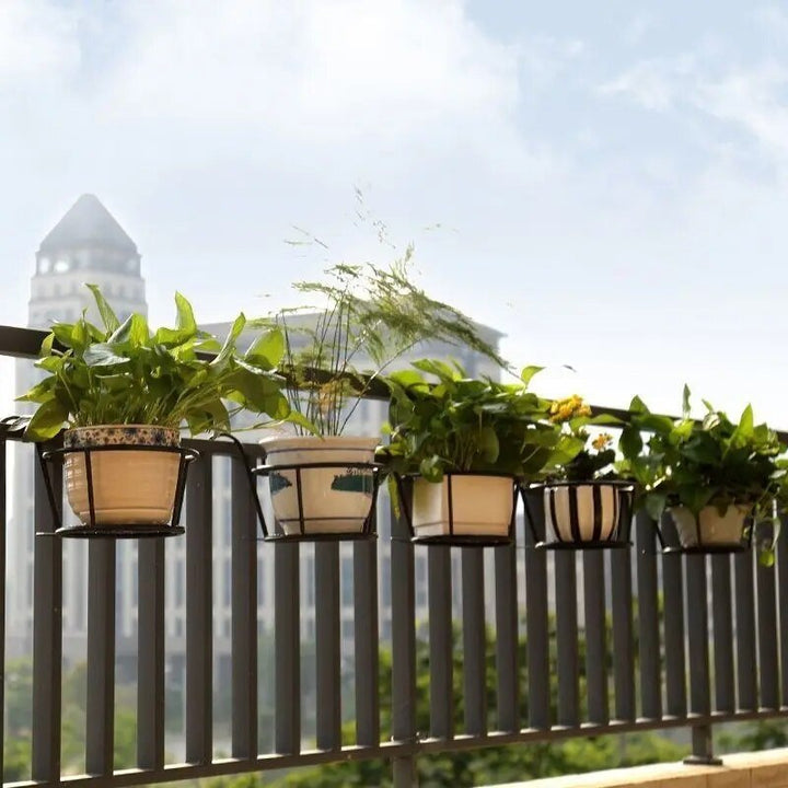 Skanto | Forvandle balkongen din - Hengende planter - Botanisk tilflukt