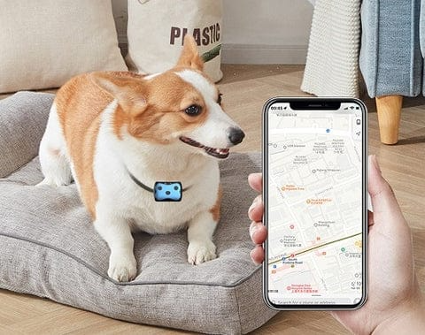 Skanto | GPS Tracker for Hundens Plassering Halsbånd