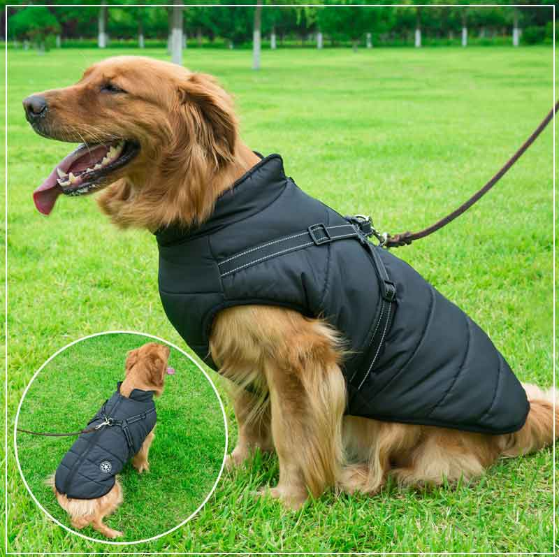 Vinter hundejakke med sele | Skanto