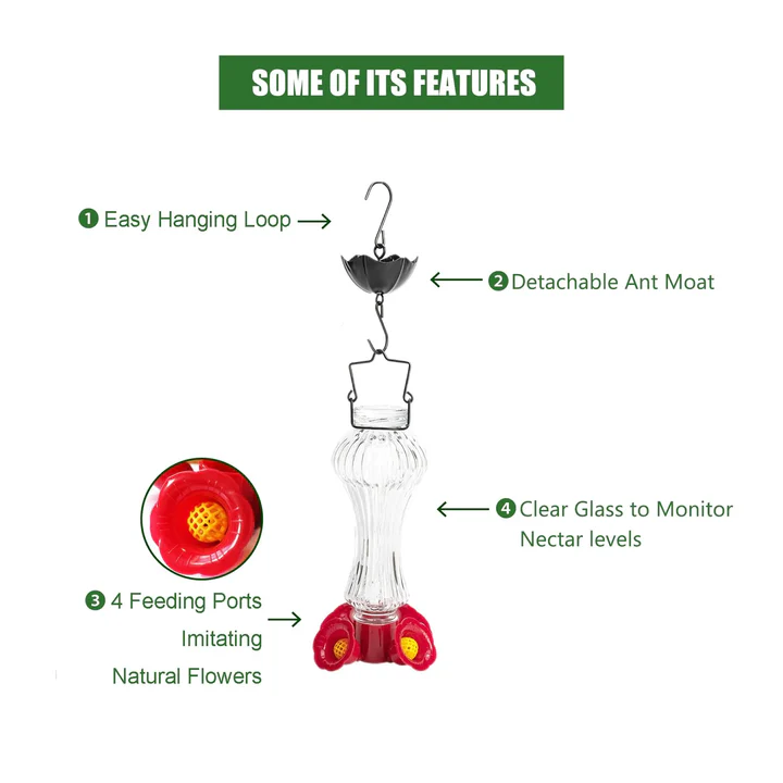 Skanto | Flowers Glass Kolibri Fugl Fôringsautomat Med Maur Grøft
