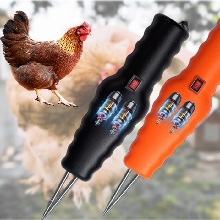 Electric Chicken Eater | Skanto