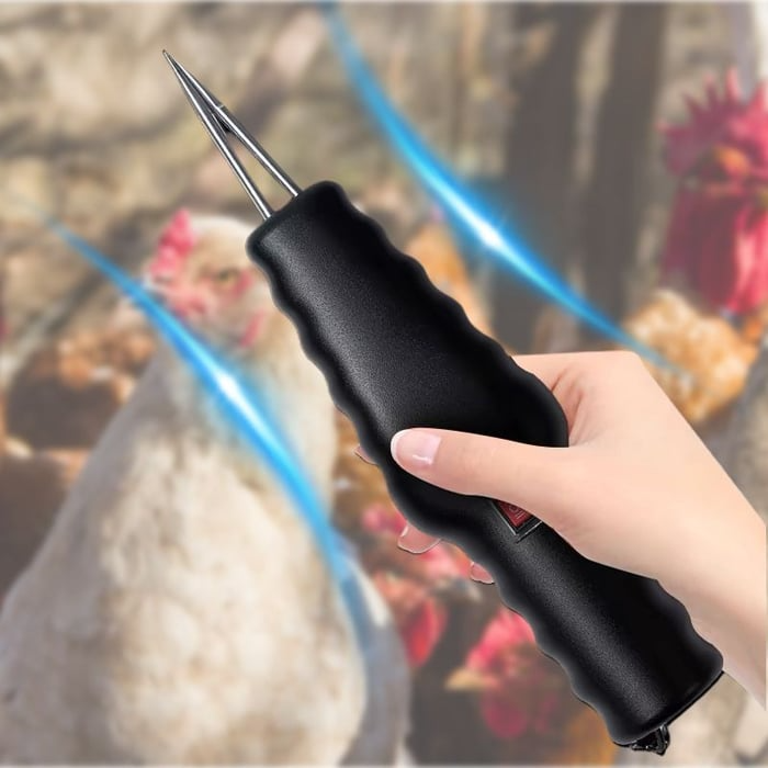 Electric Chicken Eater | Skanto