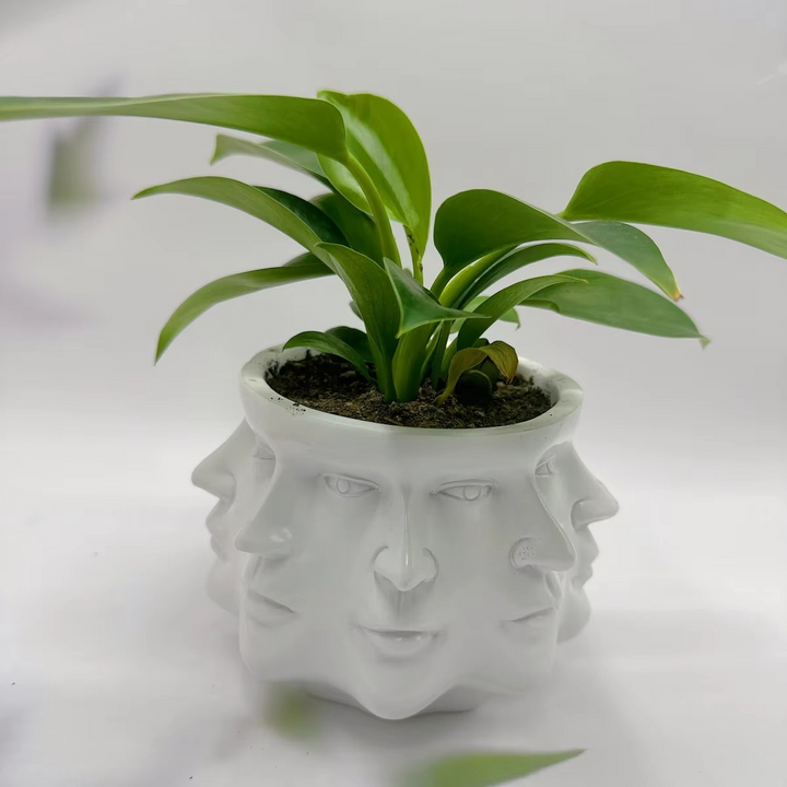 Moderne Ansiktsdesign Pot Skanto