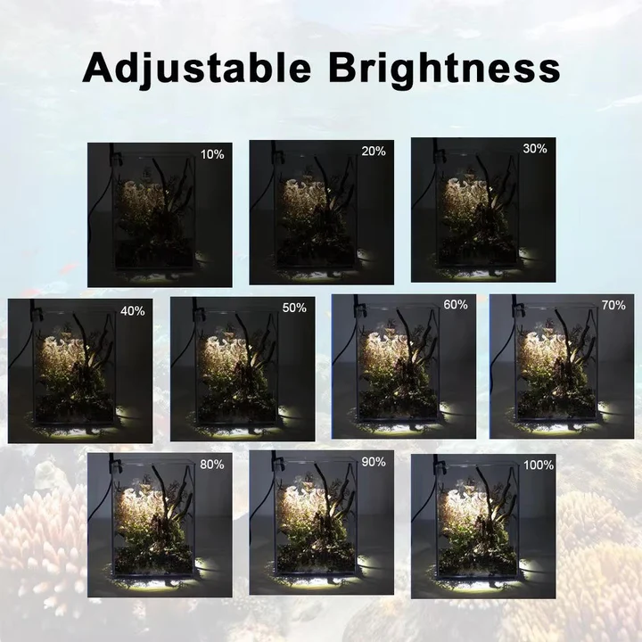 Skanto | LED Lys for Akvarium
