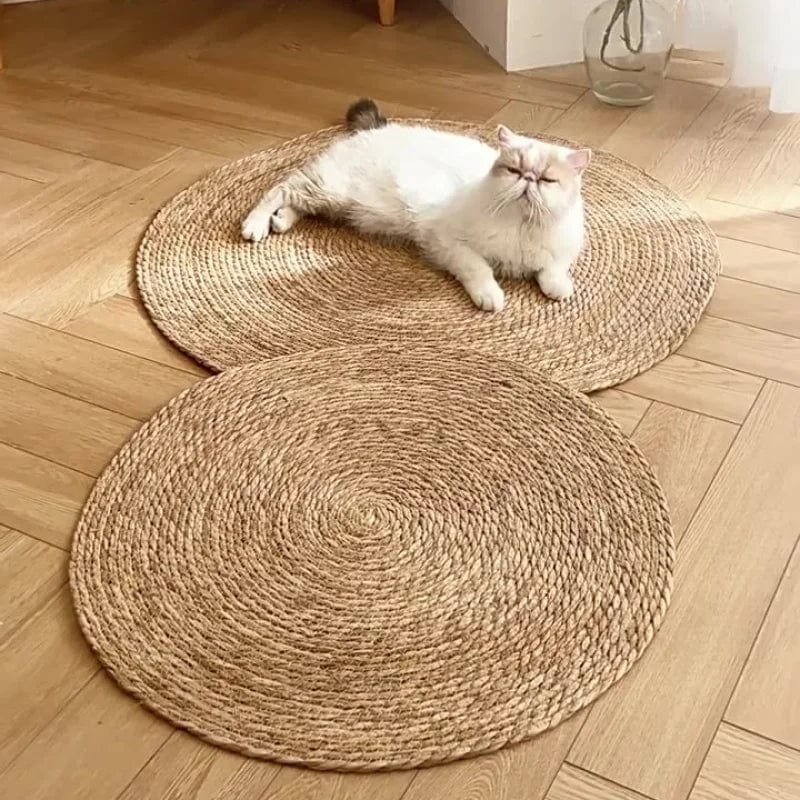 Kloreteppe for katter | Skanto
