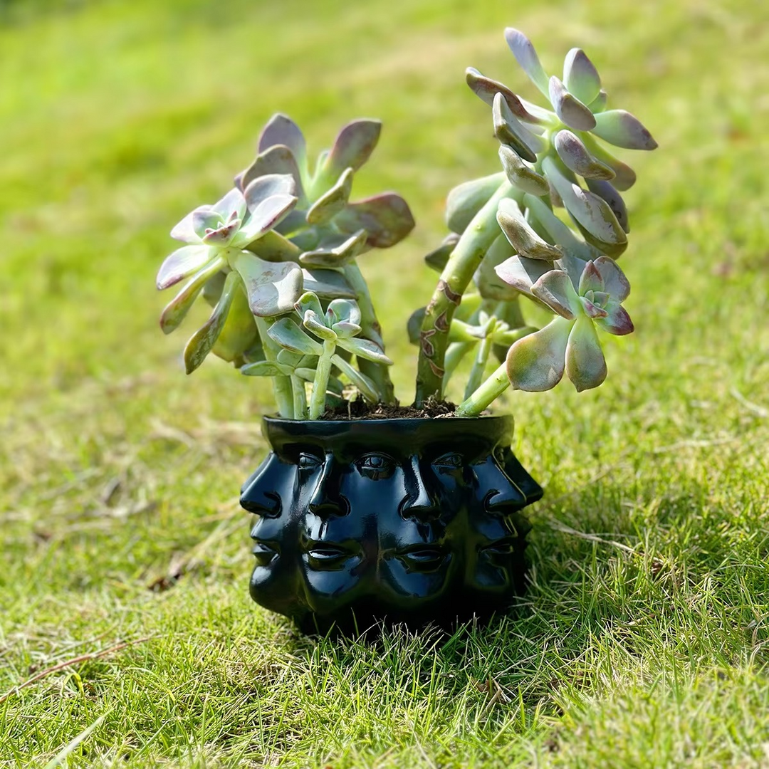Moderne Ansiktsdesign Pot Skanto