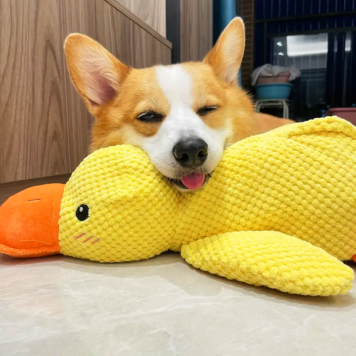 Skanto | Hundelek Plush And Mental Stimulation