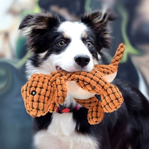Skanto | Hund Kjøttbenleketøy Plysj Holdbar Design