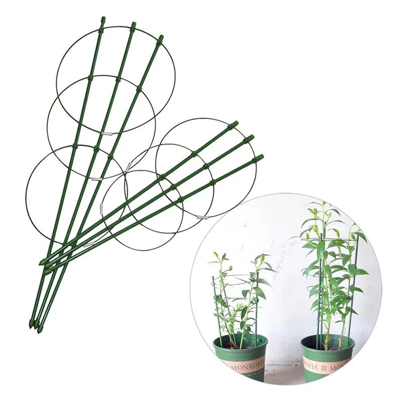 Skanto | Klatre ramme for planter – Solid støtte ring ramme for klatrende planter
