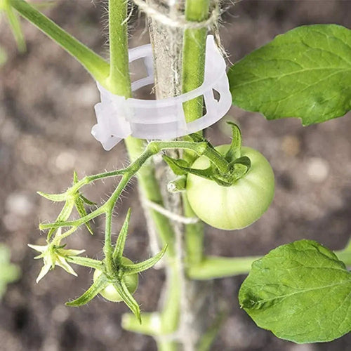 VitaGrip Clips — Sterk hold for majestetiske planter som vokser og trives stolt | Skanto