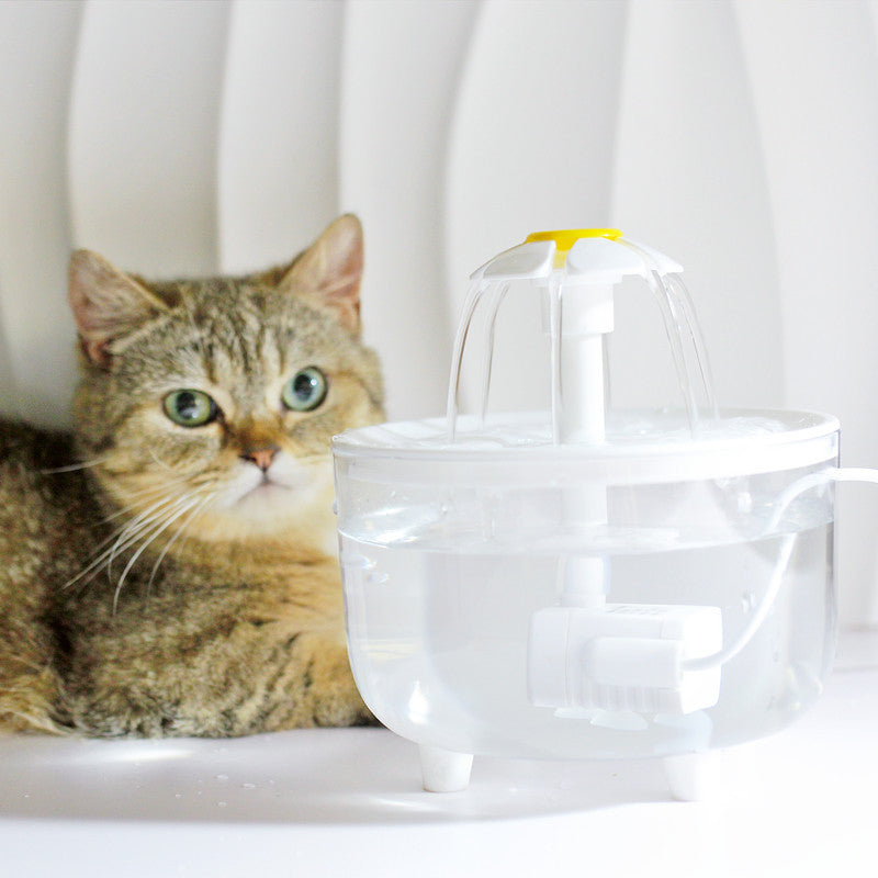 Skanto | Moderne filtreringssystem tar vare på kattens helse!