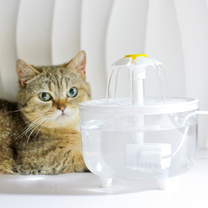 Skanto | Moderne filtreringssystem tar vare på kattens helse!