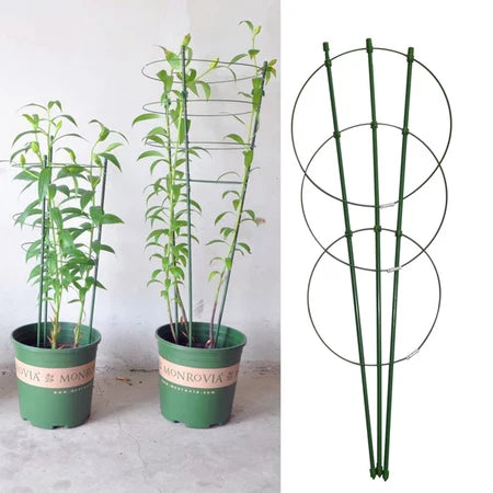 Skanto | Klatre ramme for planter – Solid støtte ring ramme for klatrende planter