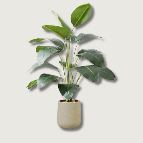 Skanto | LeafVibe - Bananetre Dekorasjon
