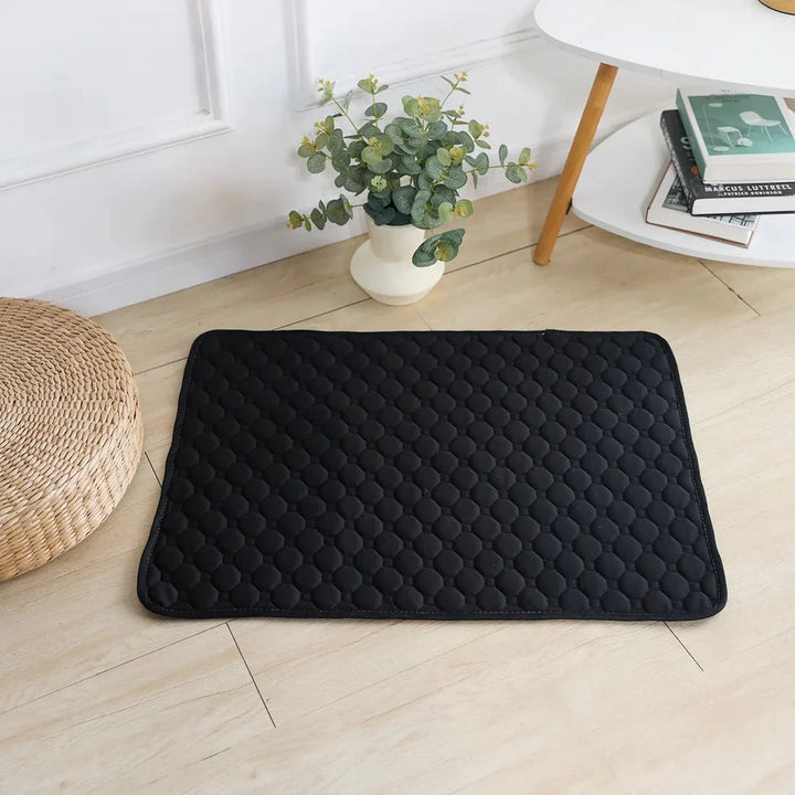 EcoComfort • Vaskbare urinputer for hund