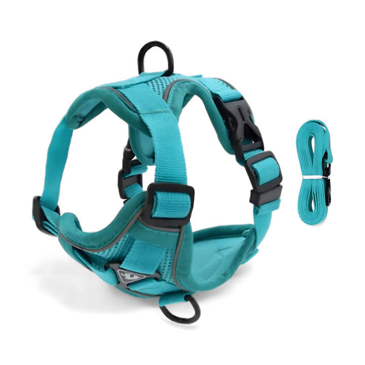 Skanto Comfort Kattesele