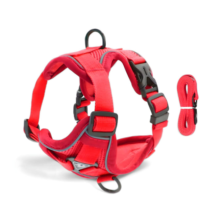 Skanto Comfort Kattesele