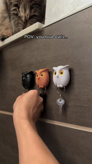 Skanto | Selvklebende magnetisk ugle nøkkelholder