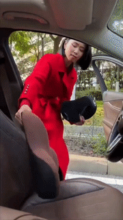 Skanto | Bil Lendestøtte Ryggpute og Nakkepute